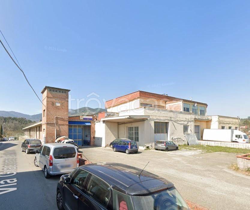 capannone in vendita a Buti