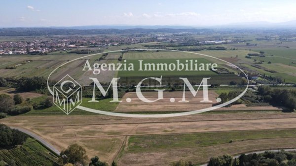 terreno agricolo in vendita a Buti