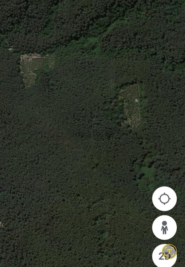 appartamento in vendita a Buti