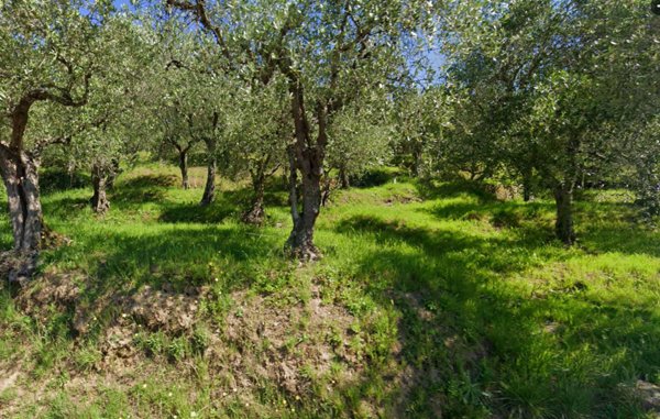 casa indipendente in vendita a Buti