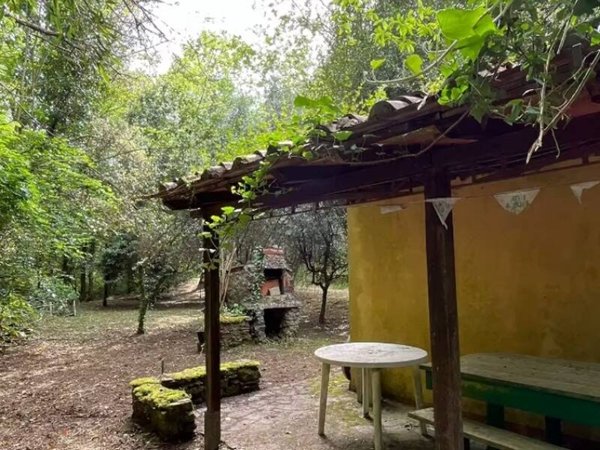 terreno agricolo in vendita a Buti