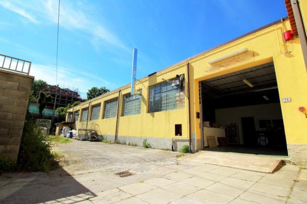 locale commerciale in vendita a Buti