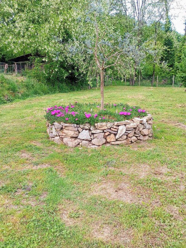 casa indipendente in vendita a Buti