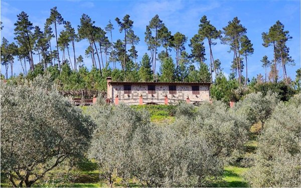 casale in vendita a Buti