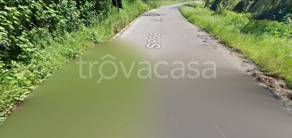 terreno agricolo in vendita a Buti