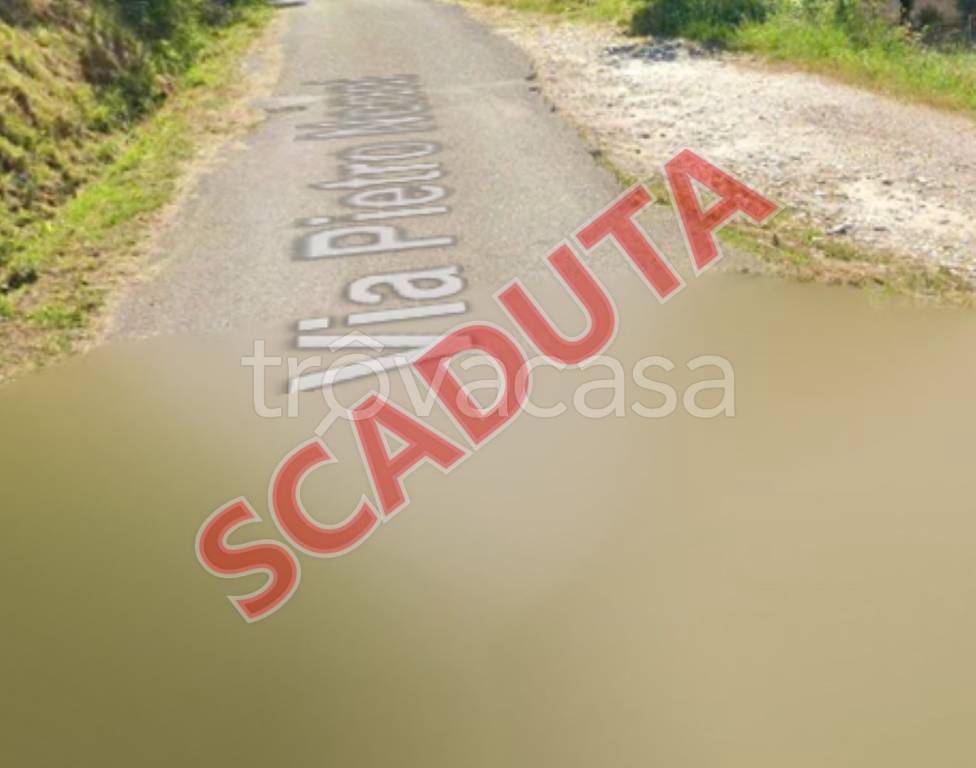 terreno edificabile in vendita a Buti