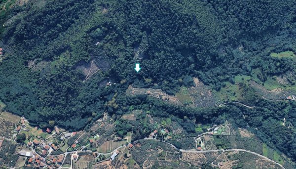 terreno agricolo in vendita a Buti