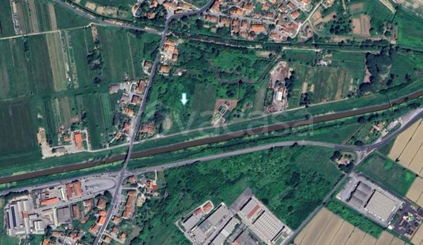 terreno agricolo in vendita a Buti