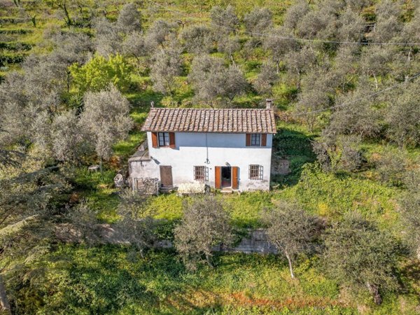 appartamento in vendita a Buti