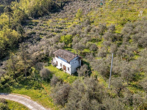 casa indipendente in vendita a Buti