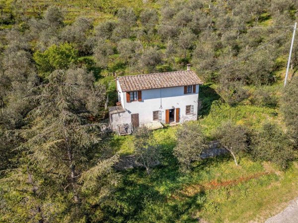 casa indipendente in vendita a Buti