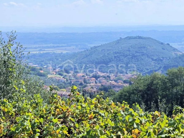 casa indipendente in vendita a Buti