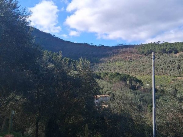 appartamento in vendita a Buti