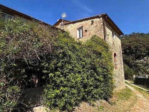 appartamento in vendita a Buti in zona La croce