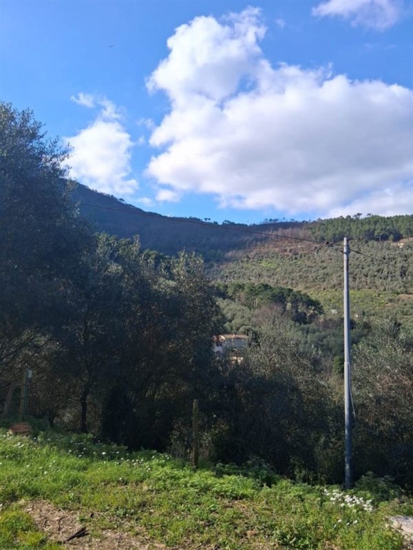 casa indipendente in vendita a Buti
