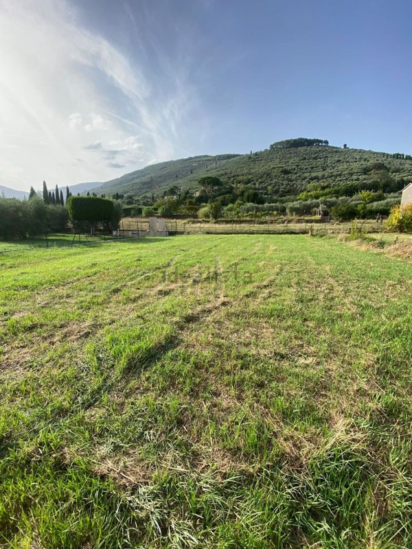 terreno in vendita a Buti