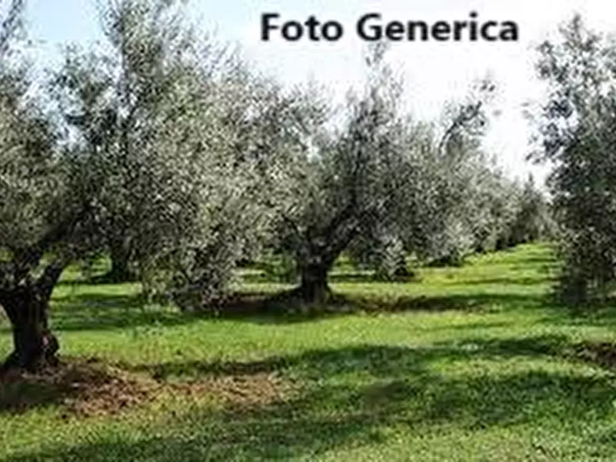 terreno in vendita a Buti