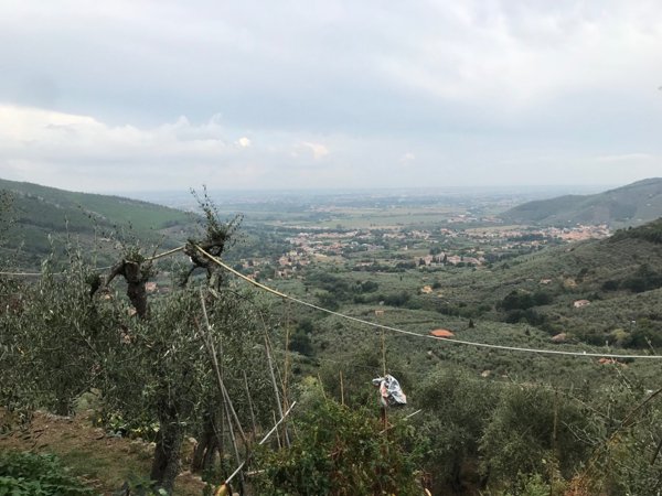 appartamento in vendita a Calci