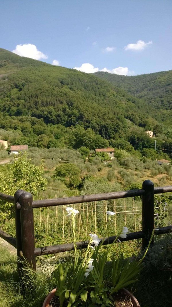 terreno agricolo in vendita a Calci in zona Tre Colli