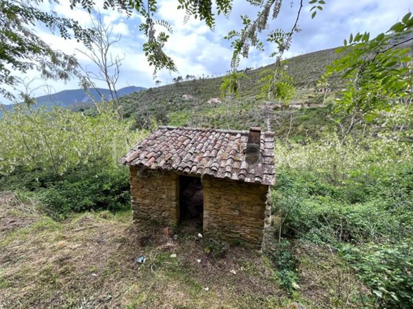 terreno agricolo in vendita a Calci in zona Montemagno