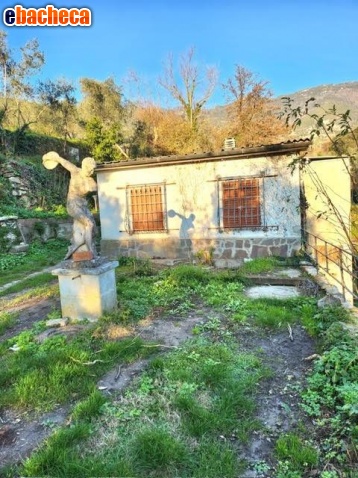 appartamento in vendita a Calci