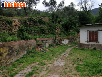 appartamento in vendita a Calci