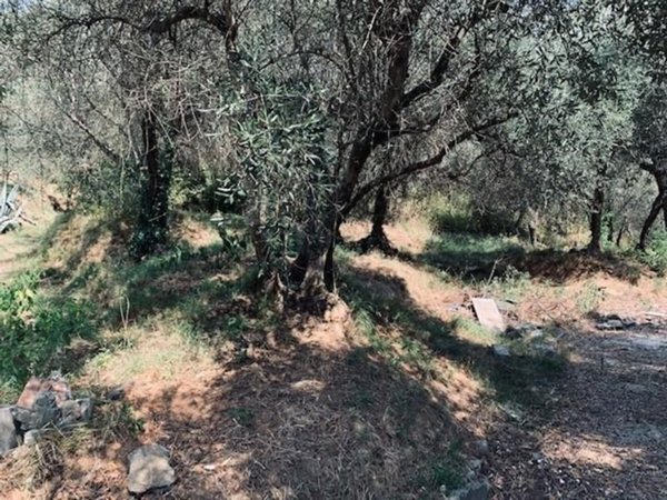casa indipendente in vendita a Calci