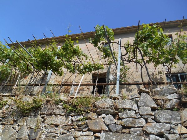 esavano in vendita a Calci