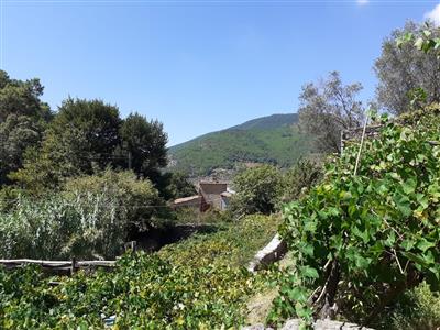 casa semindipendente in vendita a Calci