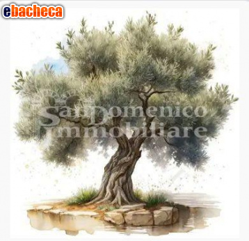 terreno agricolo in vendita a Calci