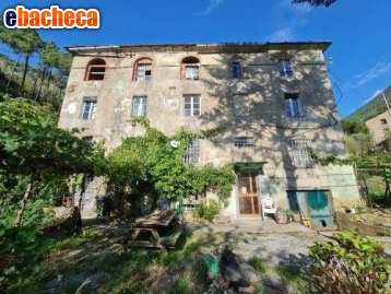 appartamento in vendita a Calci