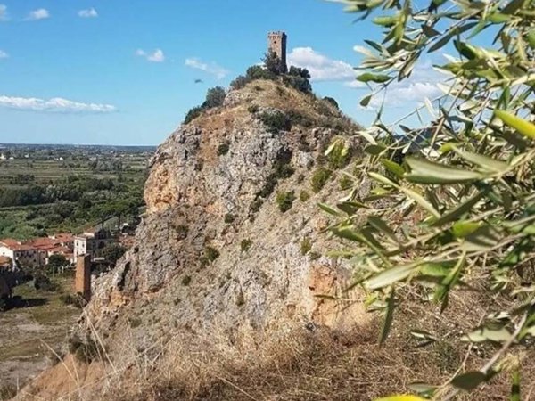 appartamento in vendita a Calci