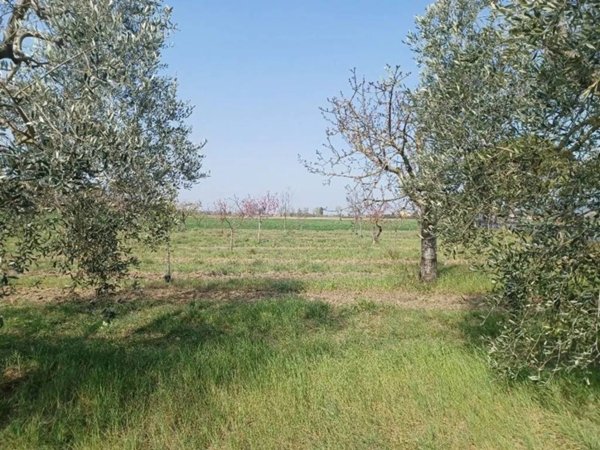 casale in vendita a Calci