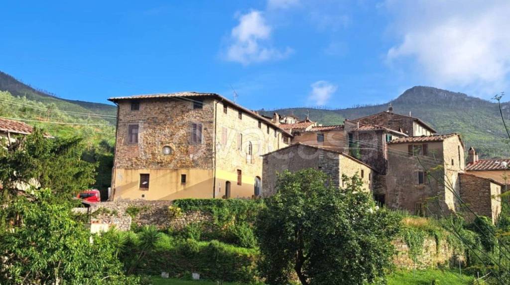 casa indipendente in vendita a Calci in zona Montemagno