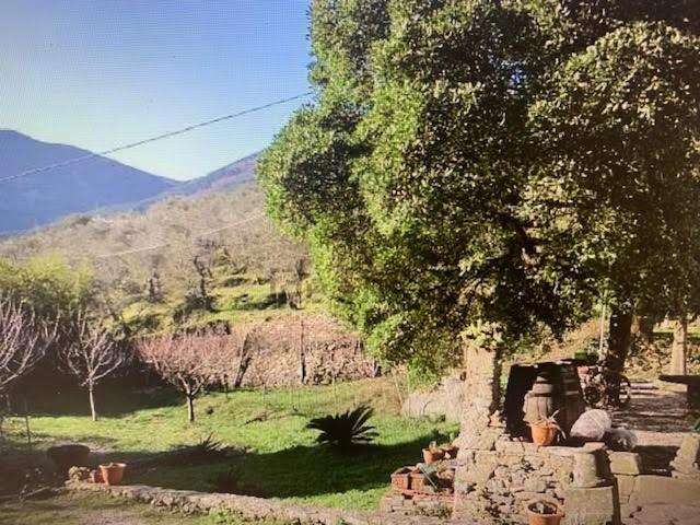 casa indipendente in vendita a Calci