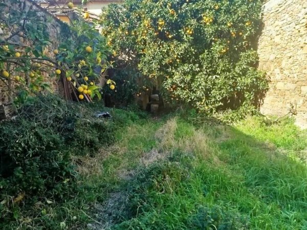 casa indipendente in vendita a Calci in zona Villa