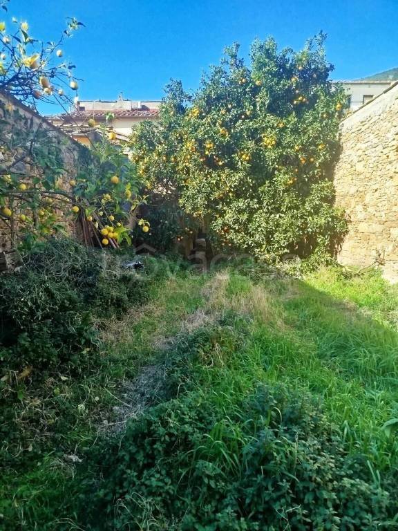 casa indipendente in vendita a Calci in zona Villa