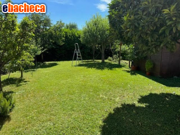 casa indipendente in vendita a Calci in zona Villa