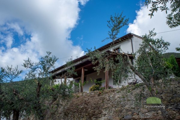 casa indipendente in vendita a Calci