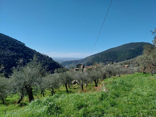 casa indipendente in vendita a Calci in zona Tre Colli