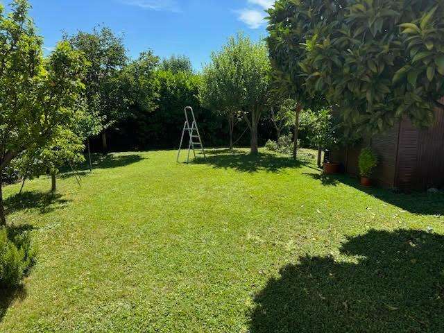 casa indipendente in vendita a Calci in zona Villa