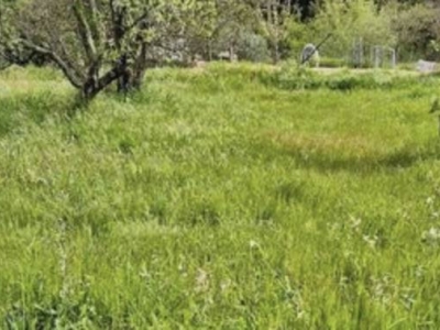 casa indipendente in vendita a Calci in zona Villa