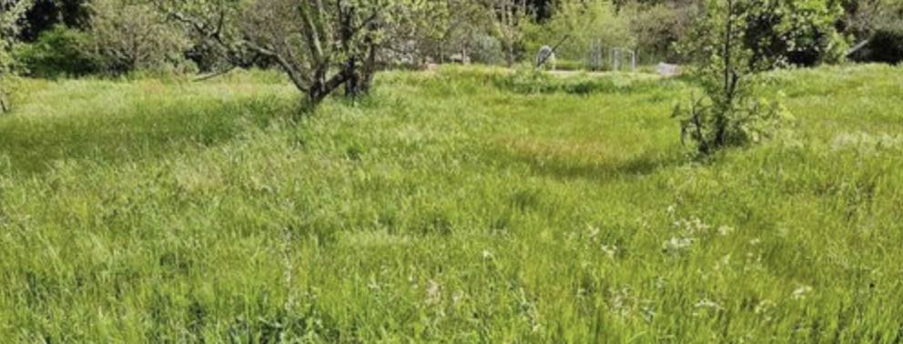 casa indipendente in vendita a Calci in zona Villa