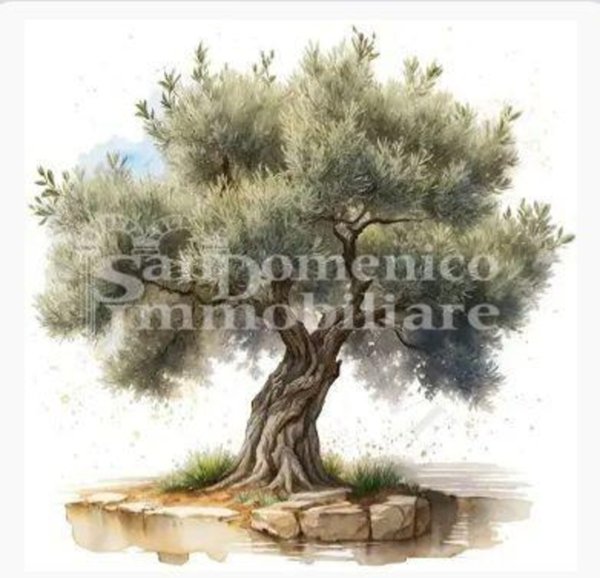 terreno agricolo in vendita a Calci