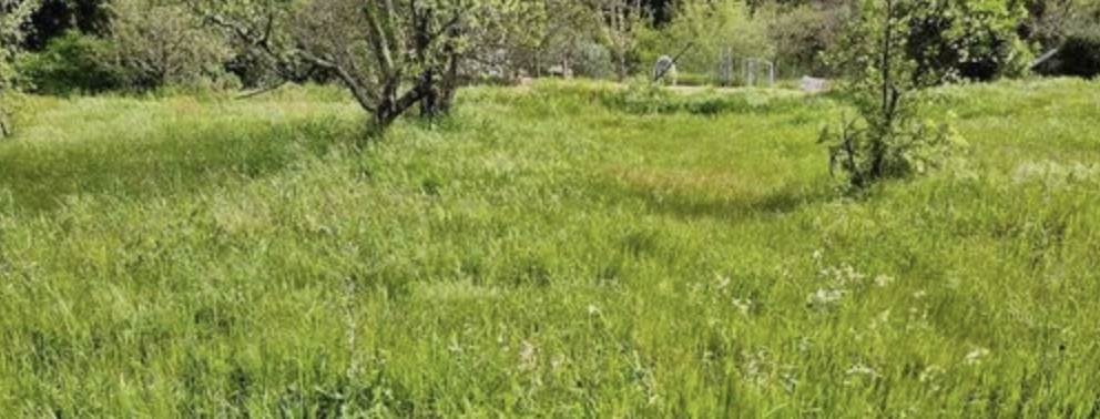 casa indipendente in vendita a Calci in zona Villa