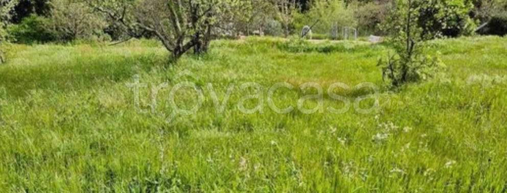 casa indipendente in vendita a Calci in zona Villa