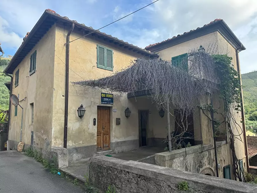 casa indipendente in vendita a Calci