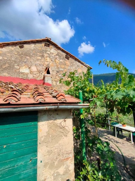 casa indipendente in vendita a Calci