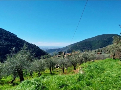 casa indipendente in vendita a Calci in zona Tre Colli
