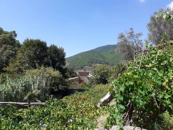 immagine annuncio 0 di 3